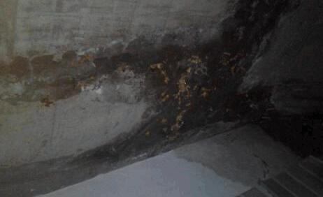 墻面滲水有什么辦法修復？屋頂防水施工的時候這些要留意